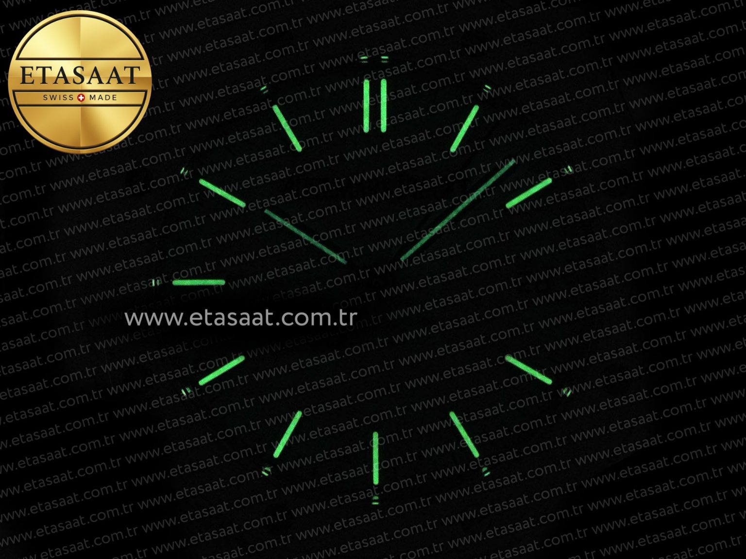 Audemars Piguet White Dial Diamonds Swiss Quartz - Görsel 32