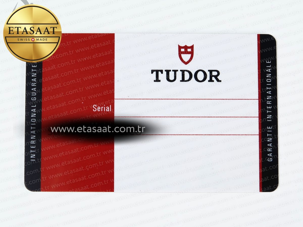 TUDOR BOX AND PAPERS NEW VERSION - Görsel 14