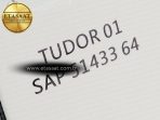 TUDOR BOX AND PAPERS NEW VERSION - Görsel 17