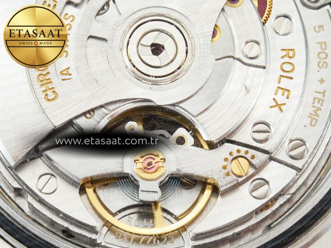 DayDate 40 228239 ARF 904L Steel Grey Stick Dial on President Bracelet VR3255 - Görsel 24