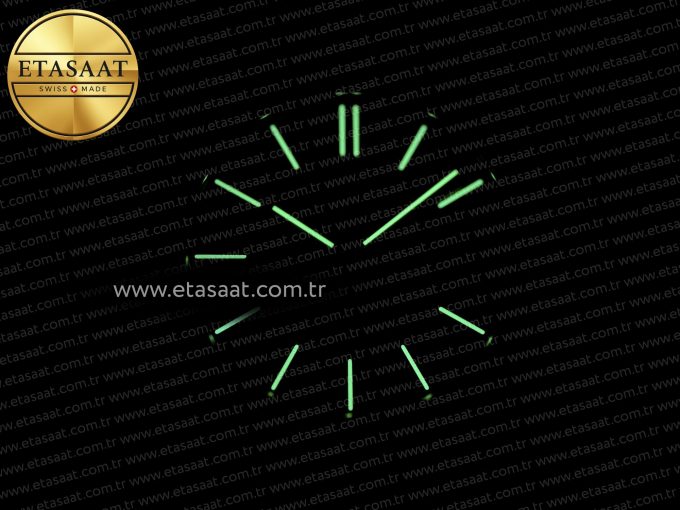 Audemars Piguet Royal Oak 15510 SS APSF - Görsel 27