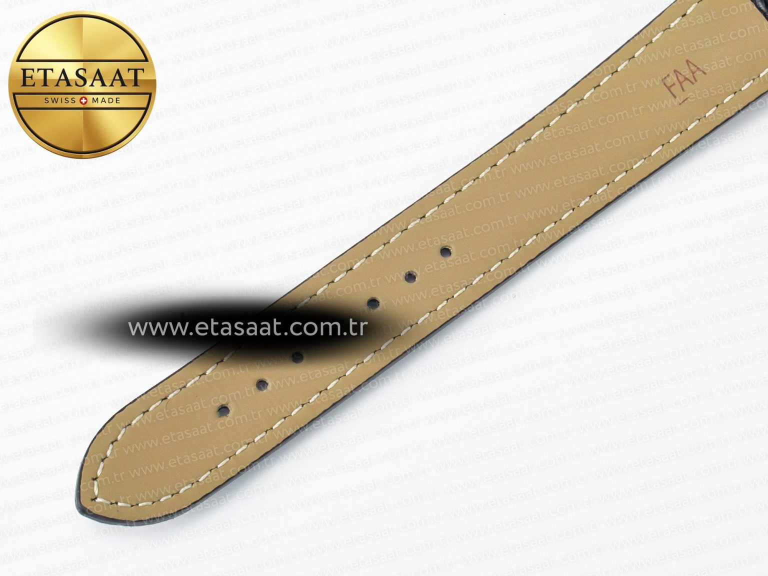 Santos Dumont 31.4mm IWSF Best Edition Silver Dial on Black Leather Strap Quartz - Görsel 20